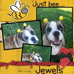 Just Bee (Jesse77)