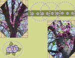 Merrill_s_garden-p004-small
