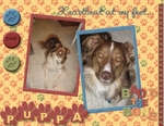 Big Puppa (heidiann)