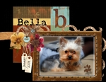 Bella (amelia007)