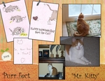 Purr...fect (BeachScraper)