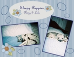 Sleepy Puppies (NursegreeneyesRN)