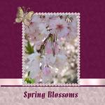 Spring Blossoms (cmarcum01@aol.com)