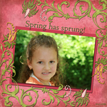 Spring 2008 (marjohn)