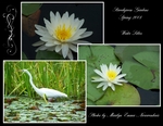 Brookgreen Gardens (BeachScraper)