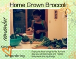 Home Grown (BeachScraper)