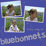 Bluebonnet Delight (marjohn)
