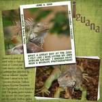 Iguana (marjohn)