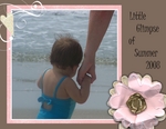 Grandchildrens Visit (BeachScraper)