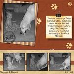 Dog-p002-small