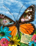 BUTTERFLY GARDEN 2008 (RABIDFOX)