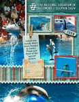 BALTIMORE AQUARIUM (RABIDFOX)