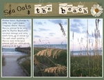 Sea Oats & The Beach (BeachScraper)