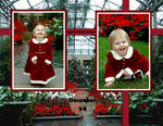 Christmas at Longwood Gardens (Montana)