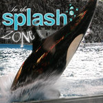 Shamu (sigmakap95)