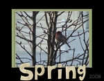 Spring is Here (BeachScraper)
