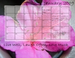 Calendar By Marilyn (BeachScraper)