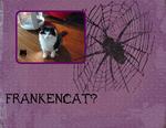 Frankencat? (asiverson)