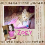 Zoey the kitten (Jesse77)