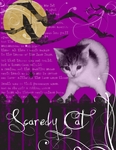 Master_scrapbook-p0095-small