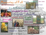 Memories of Fall (BeachScraper)