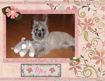 Puppies-p001-small