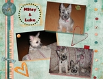 Puppies-p002-small