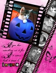 Master_scrapbook-p00104-small