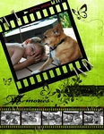 Master_scrapbook-p00105-small