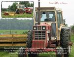 Indy Vacation On The Farm (connierun)