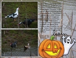 Halloween Ducks (BeachScraper)