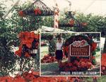 Poinseitta Festival (audosborne)