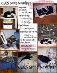 Castssleepanywhere-p001-small