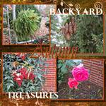 Backyard Treasures (audosborne)