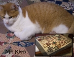Quilt & Mr. Kitty (BeachScraper)