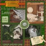 Lemur-p001-small