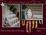 Santa, I was thinking ... (BeachScraper)