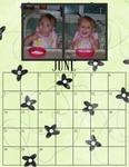 Family_calendar_for_2009-p006-small