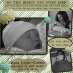 Noah's Birth (amandasanchez113)