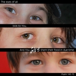 The Eyes of All (scottygal)