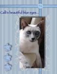 Calli_monochomatic_blue-p001-small