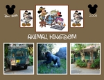 Disney_world-p004-small