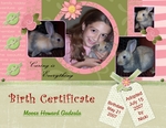 Birth Certificate (wwwdar1)