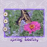 Spring Beauty (pamhen)