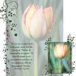 Spring Tulips (cmarcum01@aol.com)