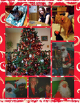 Family Christmas 2008 (snickercookie)