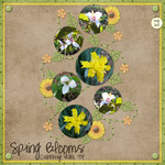 Spring Blooms (merank)
