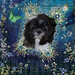 Lovely Lola (cegfar)