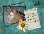 Kitty_s_hair_cut-p001-small