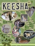 Keesha-We Miss You (pianobook)